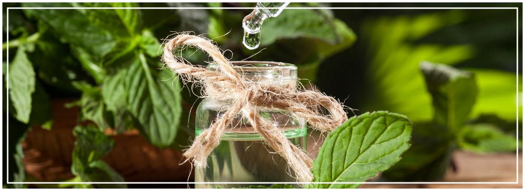 Botticina trasparente con un fiocchetto intorno, contenente olio essenziale alla menta piperita. Sullo sfondo foglie di menta piperita, su un tavolo in legno.